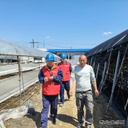 国网牡丹江东宁市供电公司：服务菌农 助力木耳产业用电安全